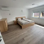 House Liubliana